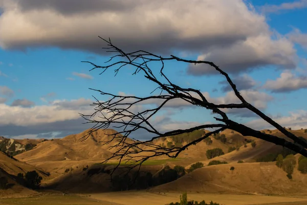 Hills Arthus Pass Nieuw Zeeland — Stockfoto