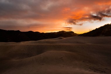 Yeni Zelanda, Nelson 'daki Wharariki Sahili yakınlarındaki kum tepelerinin görüntüsü