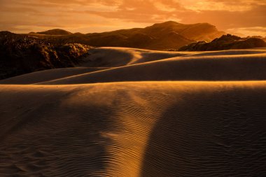Yeni Zelanda, Nelson 'daki Wharariki Sahili yakınlarındaki kum tepelerinin görüntüsü