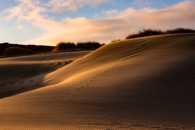 Yeni Zelanda, Nelson 'daki Wharariki Sahili yakınlarındaki kum tepelerinin görüntüsü