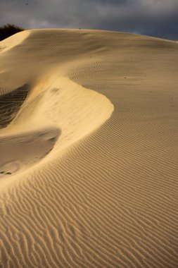 Yeni Zelanda, Nelson 'daki Wharariki Sahili yakınlarındaki kum tepelerinin görüntüsü