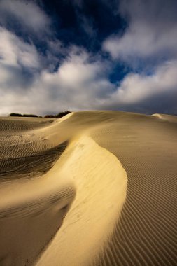 Yeni Zelanda, Nelson 'daki Wharariki Sahili yakınlarındaki kum tepelerinin görüntüsü