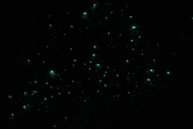 Waitomo 'daki yıldızlı gökyüzü Parlak Solucan Mağaraları, Yeni Zelanda