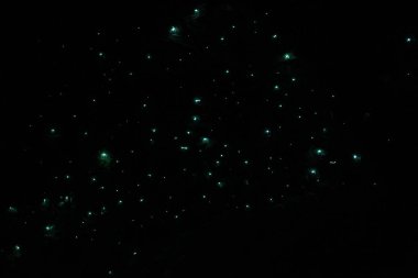 Waitomo 'daki yıldızlı gökyüzü Parlak Solucan Mağaraları, Yeni Zelanda