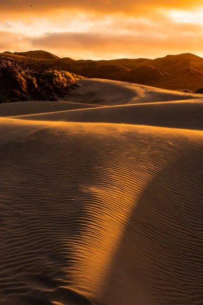 View of the sand dunes near Wharariki Beach at Nelson, New Zealand