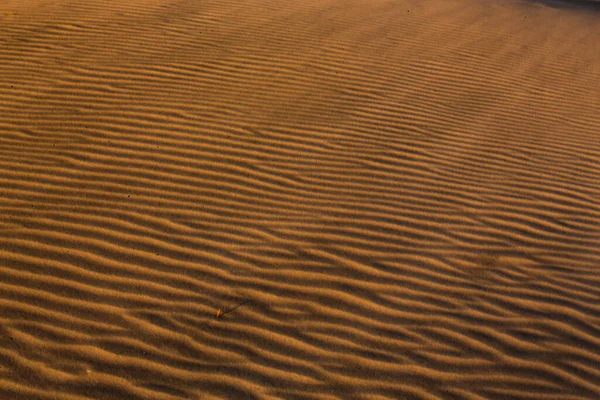 ニュージーランドのネルソンにあるWarariki Beach近くの砂丘の景色 — ストック写真