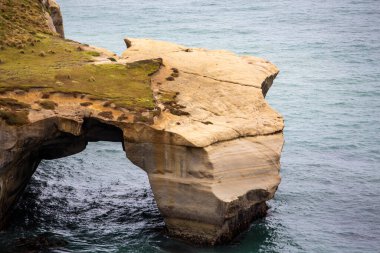 Yeni Zelanda 'daki Tünel Plajı