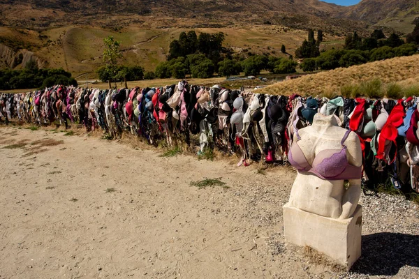 Central Otago Nouvelle Zélande Février 2020 Cardrona Bra Fence Est — Photo