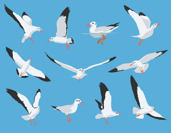 Ensemble d'oiseaux de mer et de vecteurs de mouettes — Image vectorielle