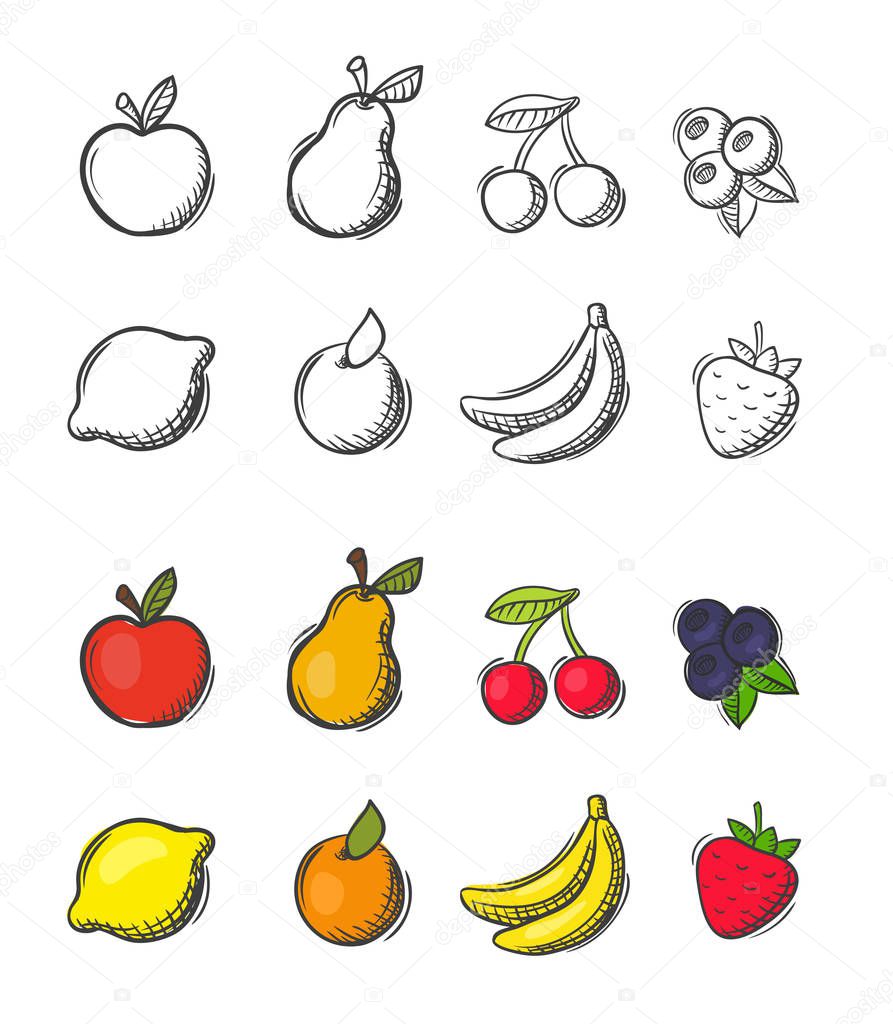 Collection of freehand doodled vector fruit icons