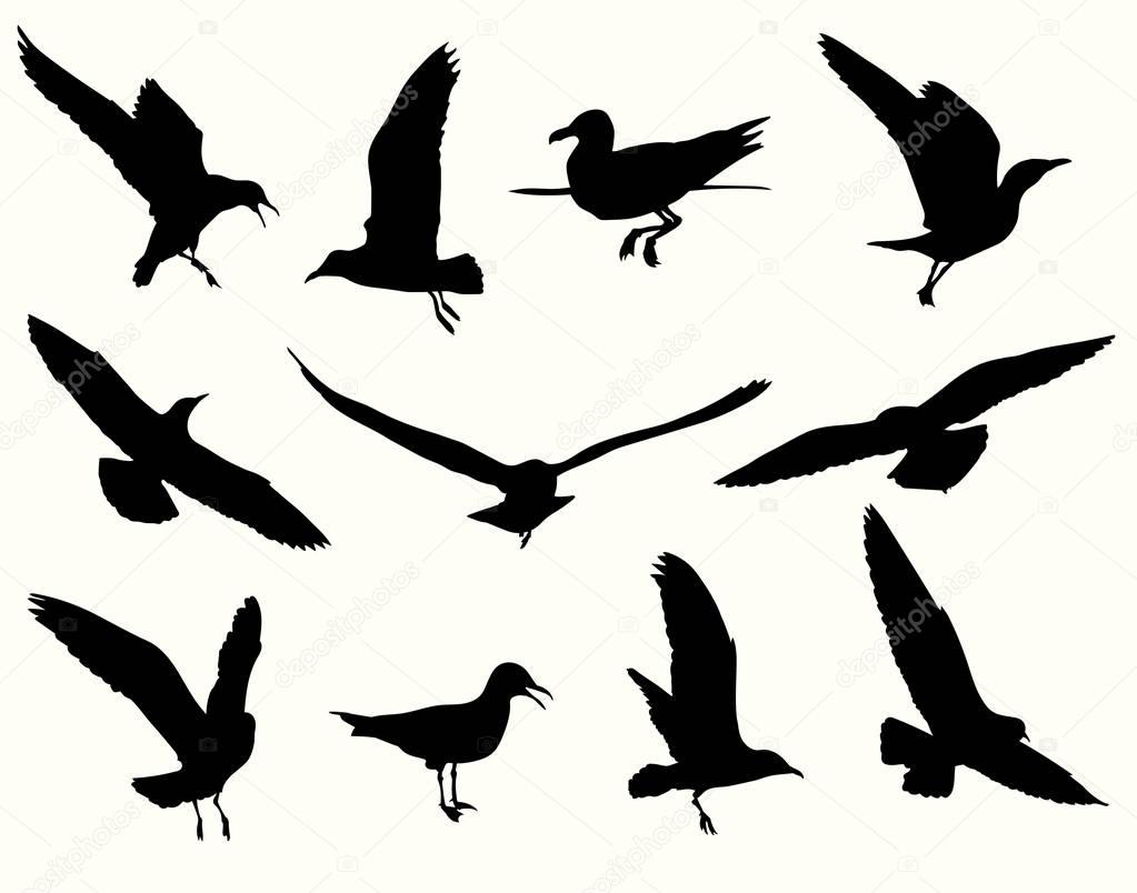 Seagull silhouette collection — Stock Vector © levente #150218630