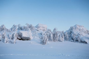 Kış orman ve kayalıklarla