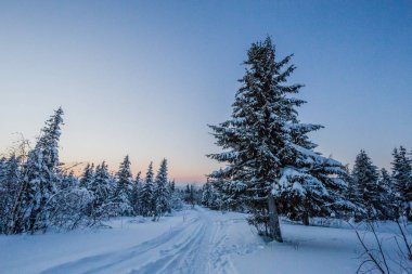 Kış akşam çeki düzen vermek