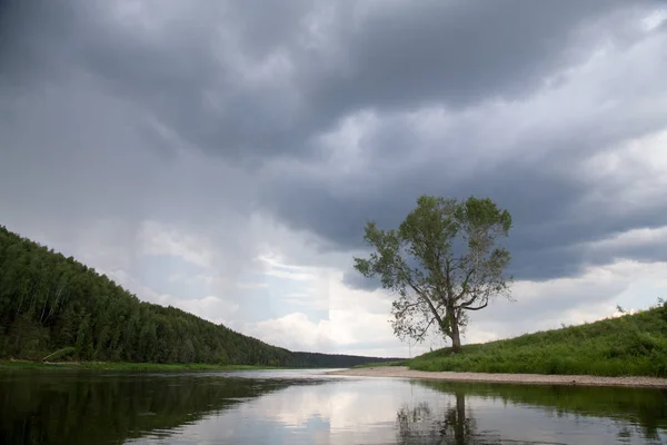 Eenzame boom aan de oever van de rivier Sylva — Stockfoto