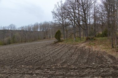 tarıma elverişli arazi ve orman