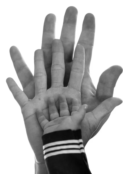 Family hands on white background — Stock Photo, Image