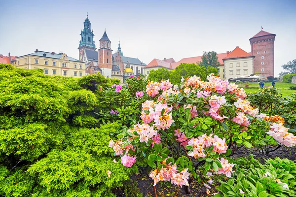 Katedra Wawelu Krakowie — Zdjęcie stockowe