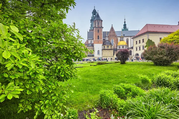 Katedra Wawelu Krakowie — Zdjęcie stockowe