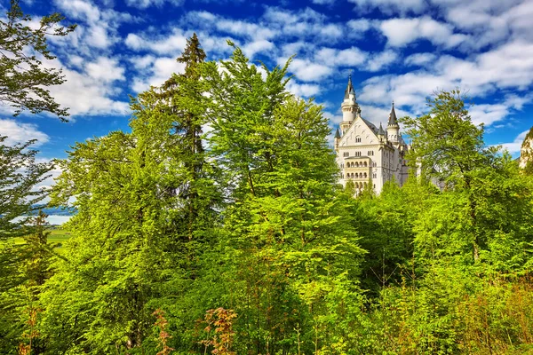 Neuschwanstein Summer Landscape Panorama Picture Fairy Tale Castle Munich Bavaria — Stock Photo, Image