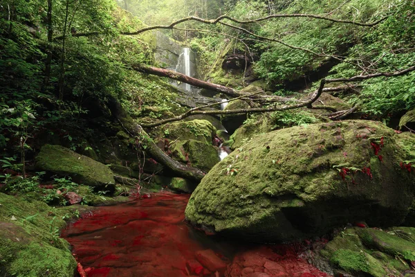 Cascada y río rojo en bosque profundo — Foto de Stock