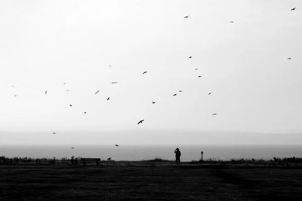 Vogels catcher op het strand — Stockfoto