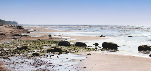 石海滩的全景 波罗的海 — 图库照片
