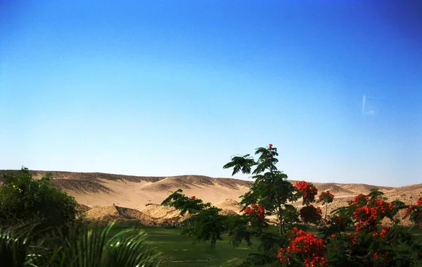 Bella foto di soleggiato Egitto — Foto Stock