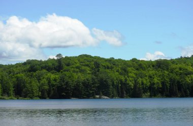 Orman, göl ve gökyüzü