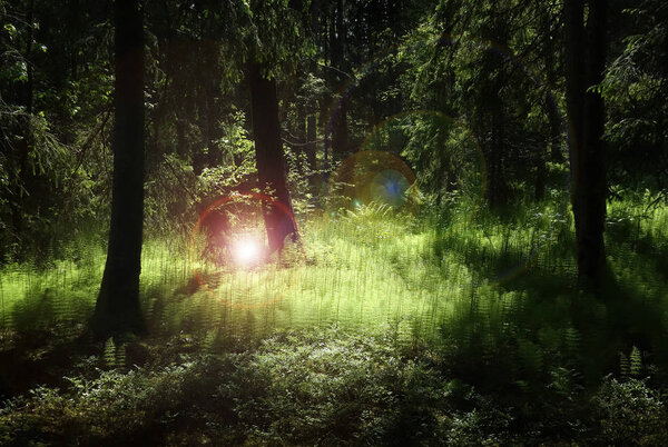 Глубокий лес с пышными зелеными растениями, просвещенными таинственным светом и вспышками
.
