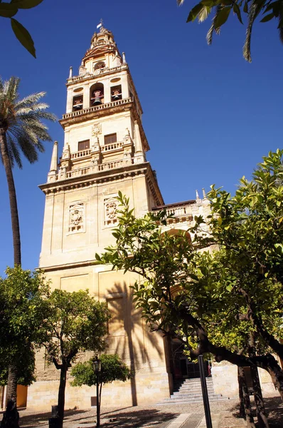 Wieża meczetu Mezquita - Katedra w Kordobie, otoczony drzewami ogród pomarańczowy — Zdjęcie stockowe