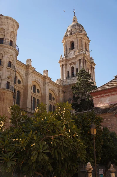 Ogród wokół wieży katedry w Maladze, Hiszpania (Catedral de la Encarnacin de Mlaga) — Zdjęcie stockowe