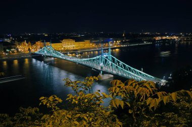 Gece Budapeşte 'de Liberty Köprüsü (Macaristan)