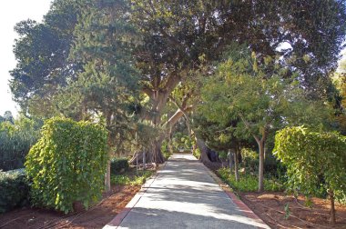 Attard, Malta (Il-Palazz Sant'Anton) San Anton'ın sarayın bahçeler