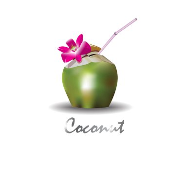 Hindistan cevizi içki tatlı