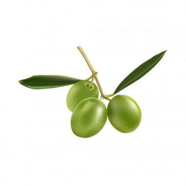 zeytin ve yaprak