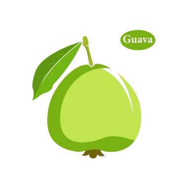 guava ve yaprak