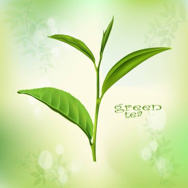 greentea ve şube