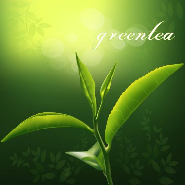 greentea ve şube