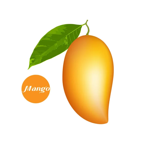 Векторный фон манго — стоковый вектор