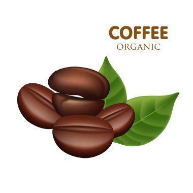  Coffee beans vector