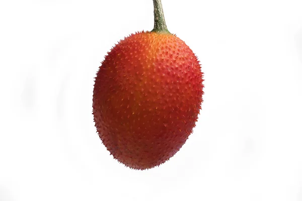 Noworodek Jackfruit owoc — Zdjęcie stockowe