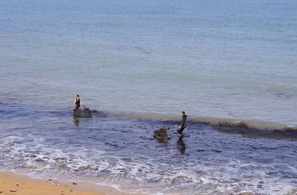 La gente recoge algas comestibles en una playa . — Foto de Stock