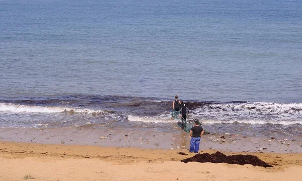 La gente recoge algas comestibles en una playa . — Foto de Stock