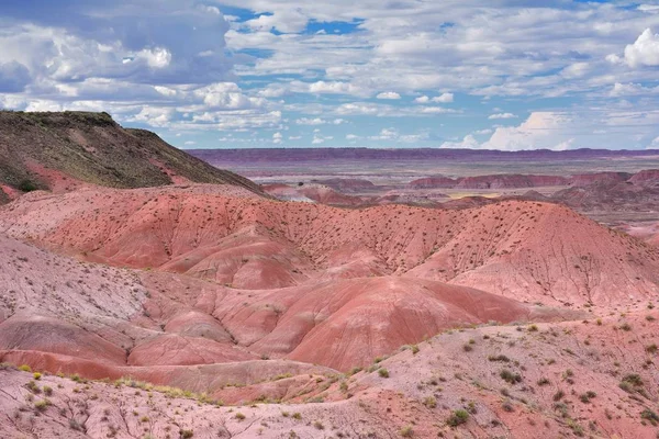 Petrified Forest National Park, USA. — Stock Photo, Image