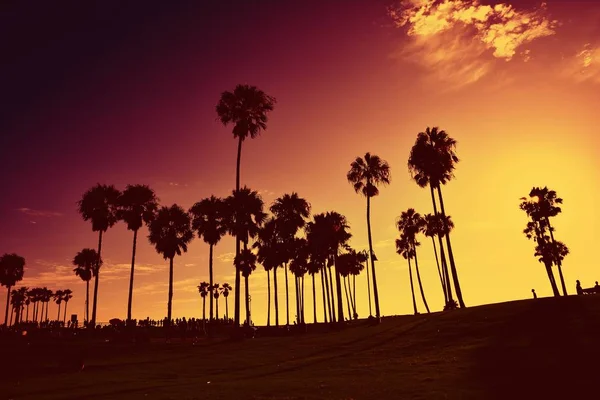 Puesta de sol en Venice Beach, California, EE.UU. . — Foto de Stock