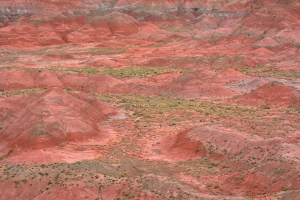 Petrified Forest National Park, USA. — Stock Photo, Image