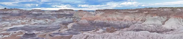 Petrified Forest National Park, USA. — Stock Photo, Image