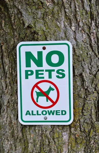 Zwierzęta nie są akceptowane znak na drzewo. — Zdjęcie stockowe