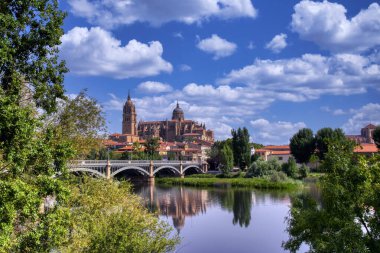 Tormes nehrinden Salamanca Katedrali görünüyor