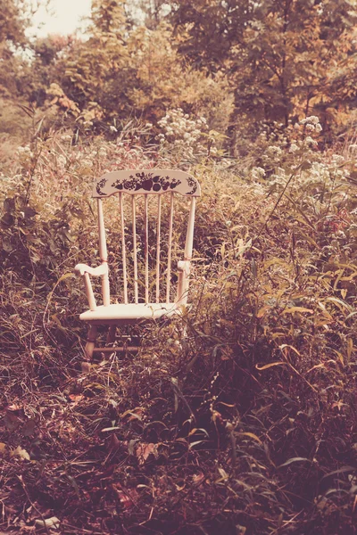 Chaise à bascule pour enfants à Woods — Photo